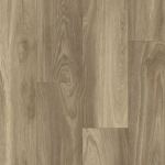 P1045-D8171 - small 1