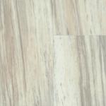 00147_2026V - small 1