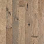 SW711-02052 - small 1