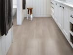 05228_2045V - small 