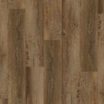 P1014-D6907 - small 1