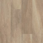 00765_0736V - small 1