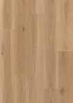 LI-DP06 - small 1