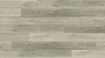 BB-VII - small 1
