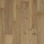 BBR05TGR1 - small 1