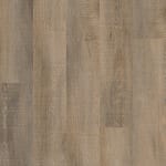 VV585-50005 - small 1