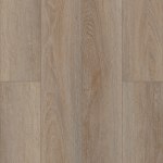 VV489-02757 - small 2