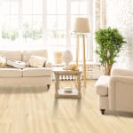 PTL05-423 - small 