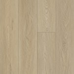 00693_2045V - small 1