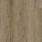 SDS04-858 - small 1