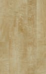00243_0505V - small 1