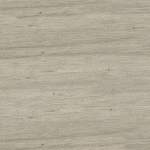 MRQR-118552 Ghost Elm - small 2