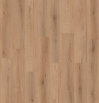 LI-CC03 - small 1