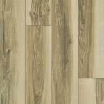 00264_5M401 - small 1