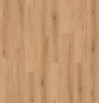 LI-CC01 - small 1