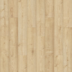 PSR15-148 - small 1
