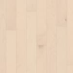 SW697-01041 - small 1