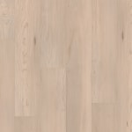 VV800-08007 - small 1