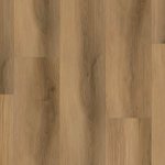 P2237-M5501 - small 1