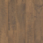 CDL79-1 - small 1