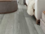 05014_0850V - small 