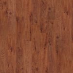 00650_0243V - small 1
