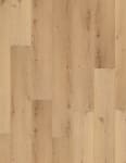 VV491-02956 - small 1
