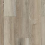 AH088-975 - small 1