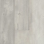 00164_2024V - small 1