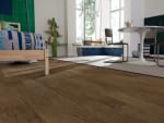 00729_0555V - small 
