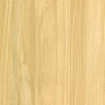 IVO39-634 - small 1