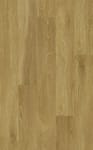 00256_0555V - small 1