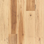 WEM08-10 - small 1