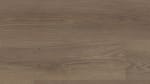 VV494-00667 - small 1