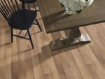 00690_1019V - small 