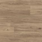 LLP307 - small 1