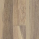 00168_2024V - small 1