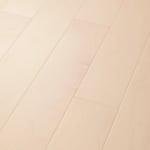SW697-01041 - small 2