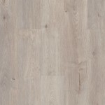 SL447_05050 - small 1