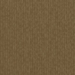 00200_54929 - small 1