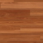 SCB144 - small 1