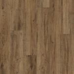 P1009-D5420 - small 1