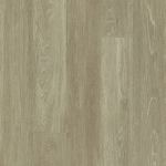 00775_0831V - small 1