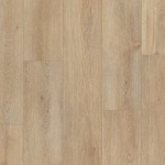 P2237-M9142 - small 1