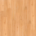 00251_0319V - small 1