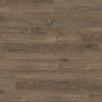 WP313 - small 1