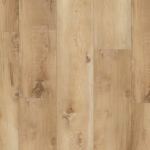 P2239-M6401 - small 1