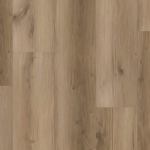 P2237-M5505 - small 1