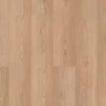 SL449_02030 - small 1