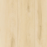 SDP06-221 - small 1
